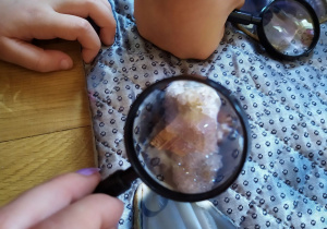 obserwacja