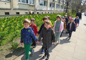 Dzieci spaceruja parami na tle żąkili, narcyzów