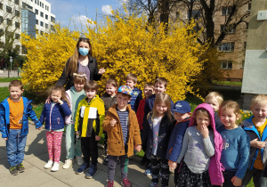 Dzieci z panią Karoliną na tle forsycji
