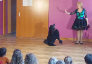 Pokaz umiejętności psa.