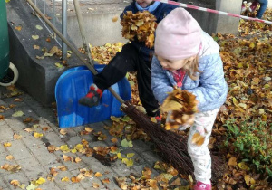 Dzieci zbierają liście w przedszkolnym ogrodzie
