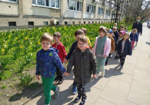 Dzieci spaceruja parami na tle żąkili, narcyzów