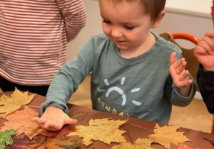 Chłopiec przyklejający liście.