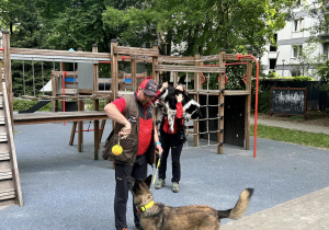 Psy jako członkowie ekipy ratunkowej